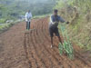 aa