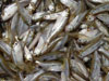 aa
