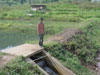 aa
