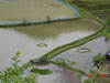 aa