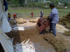 aa