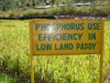 aa