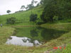 aa