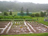 aa